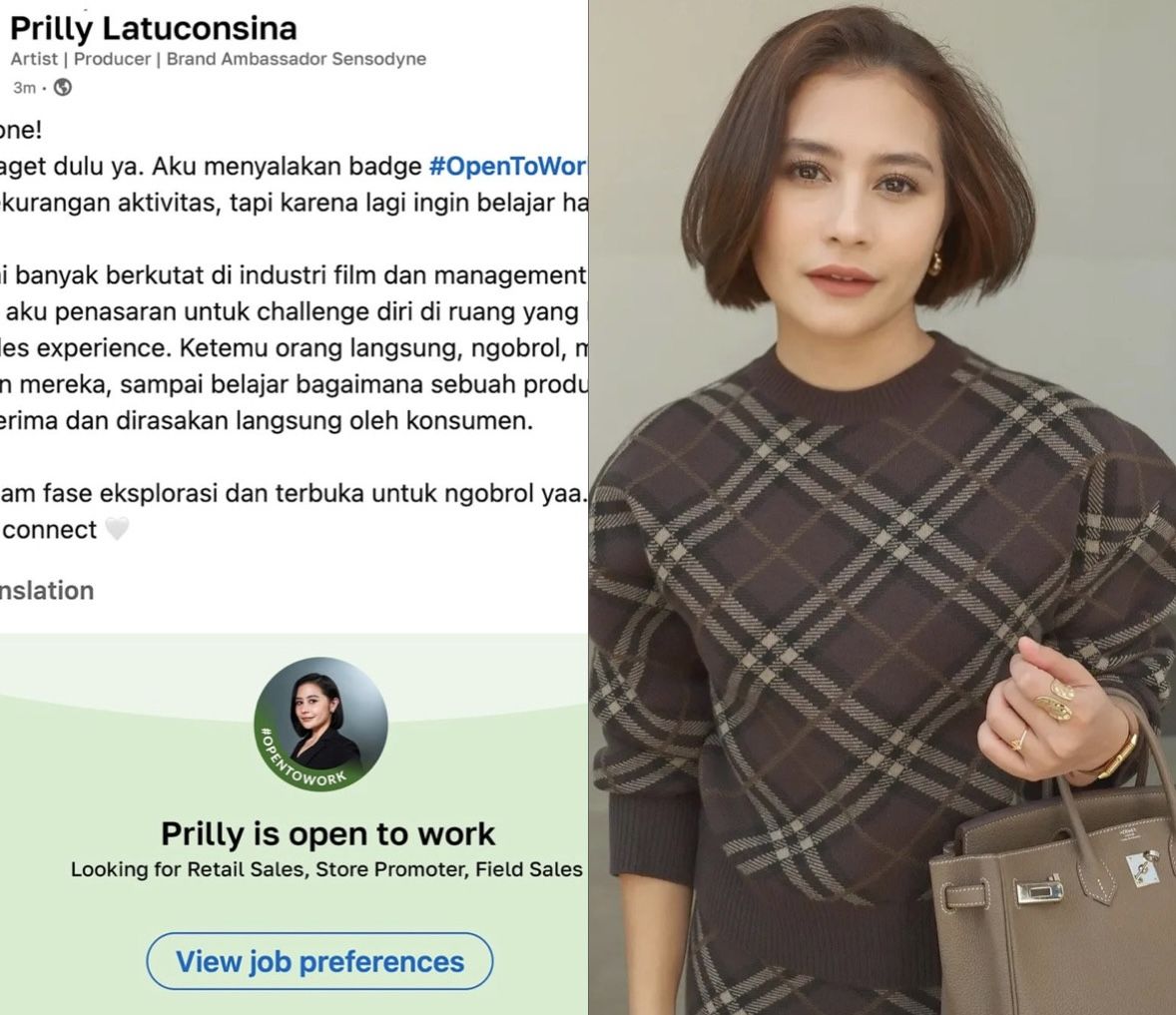 Prilly Latuconsina Minta Maaf usai “Open To Work” di LinkedIn Tuai Kontroversi