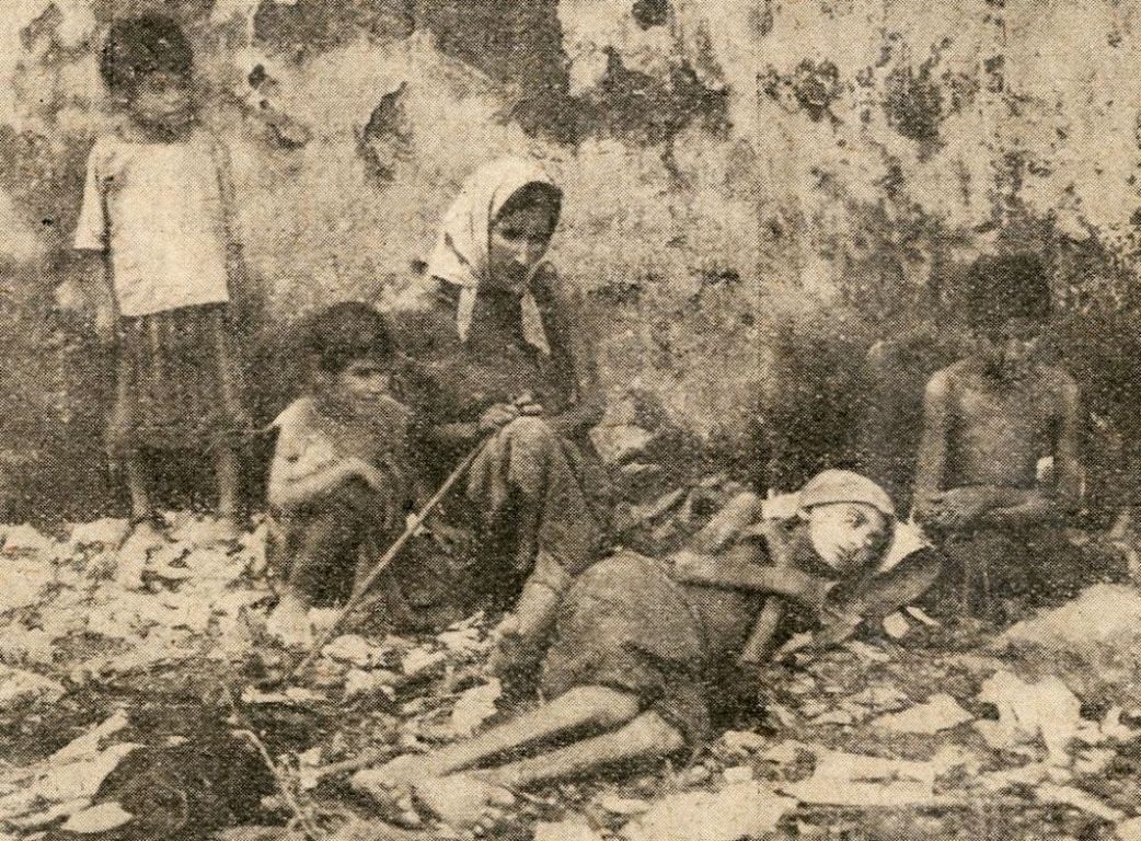 Bukan Sekadar Hama, Ini 5 Wabah Belalang Paling Parah Sepanjang Sejarah