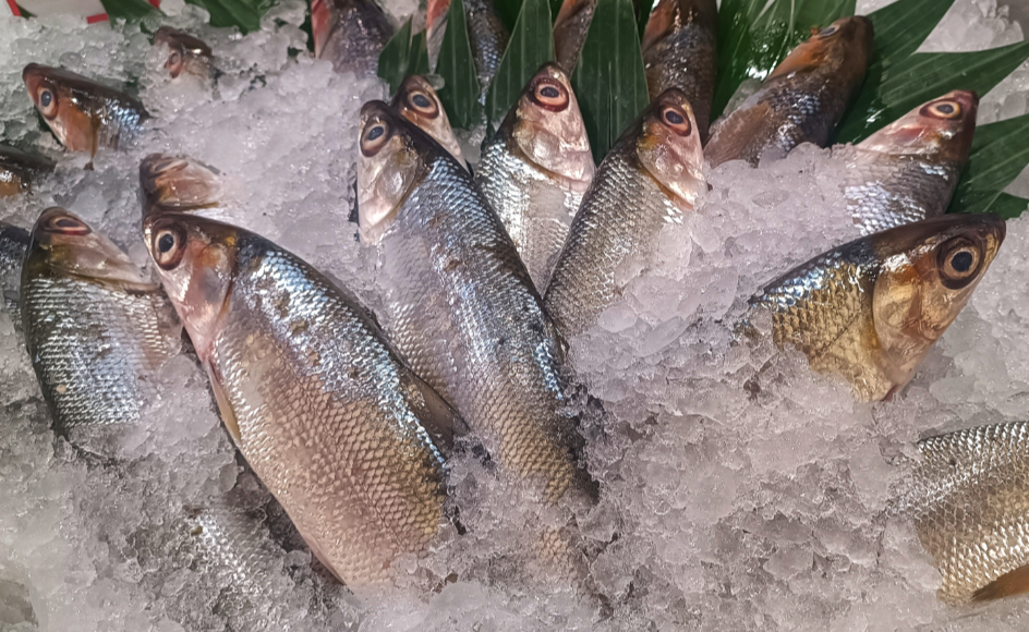 Ikan Bandeng Saat Imlek, Simbol Rezeki yang Tak Pernah Absen di Meja Makan
