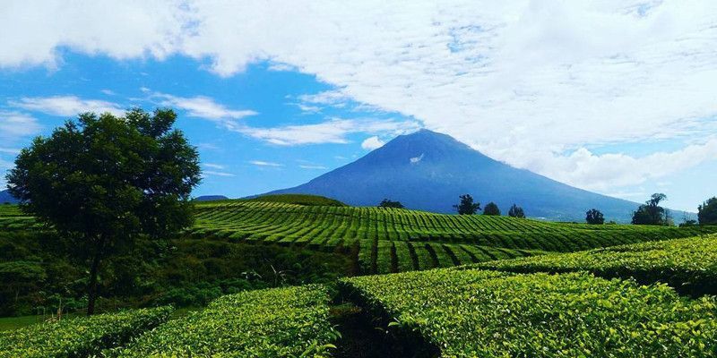 Siapkan Kamera! Ini 5 Spot Berburu Sunrise Paling Estetik di Jambi yang Hits