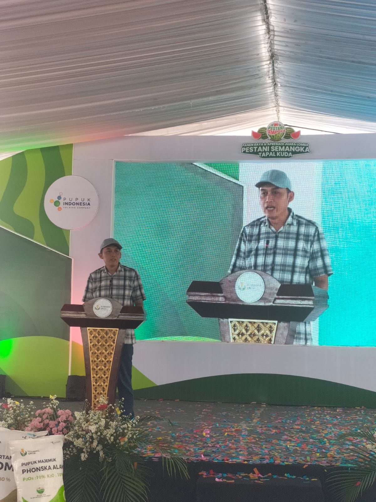 Lomba Budidaya Semangka Se-Tapal Kuda di Jember Ungkap Produktivitas Naik 34 Persen di Musim Hujan