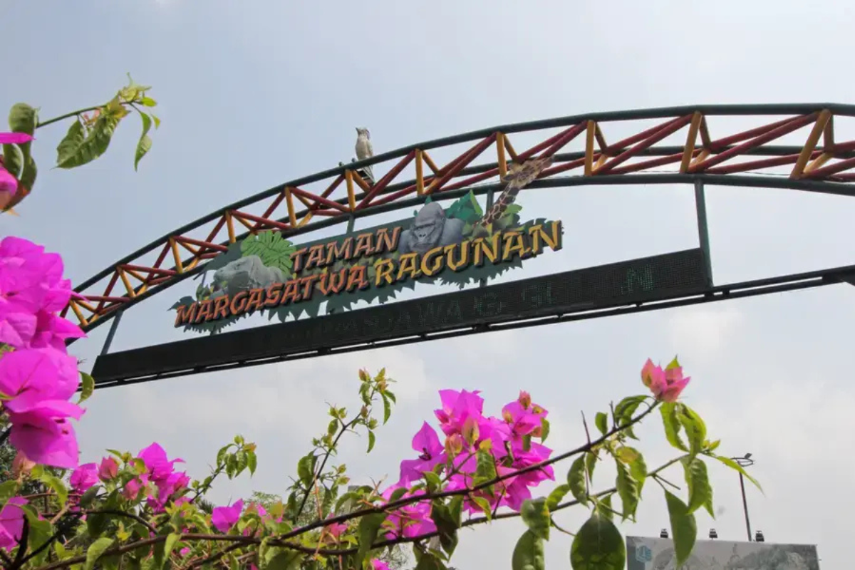 Taman Margasatwa Ragunan Targetkan 400 Ribu Pengunjung di Libur Idul Fitri 2026