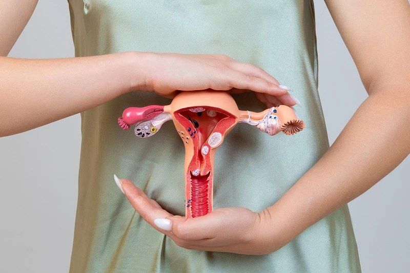 Mengenal Oogenesis, Proses Terbentuknya Sel Telur dalam Sistem Reproduksi Wanita