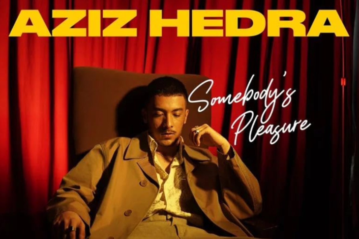 Lirik, Terjemahan, dan Makna Lagu Somebody’s Pleasure Aziz Hedra Lengkap