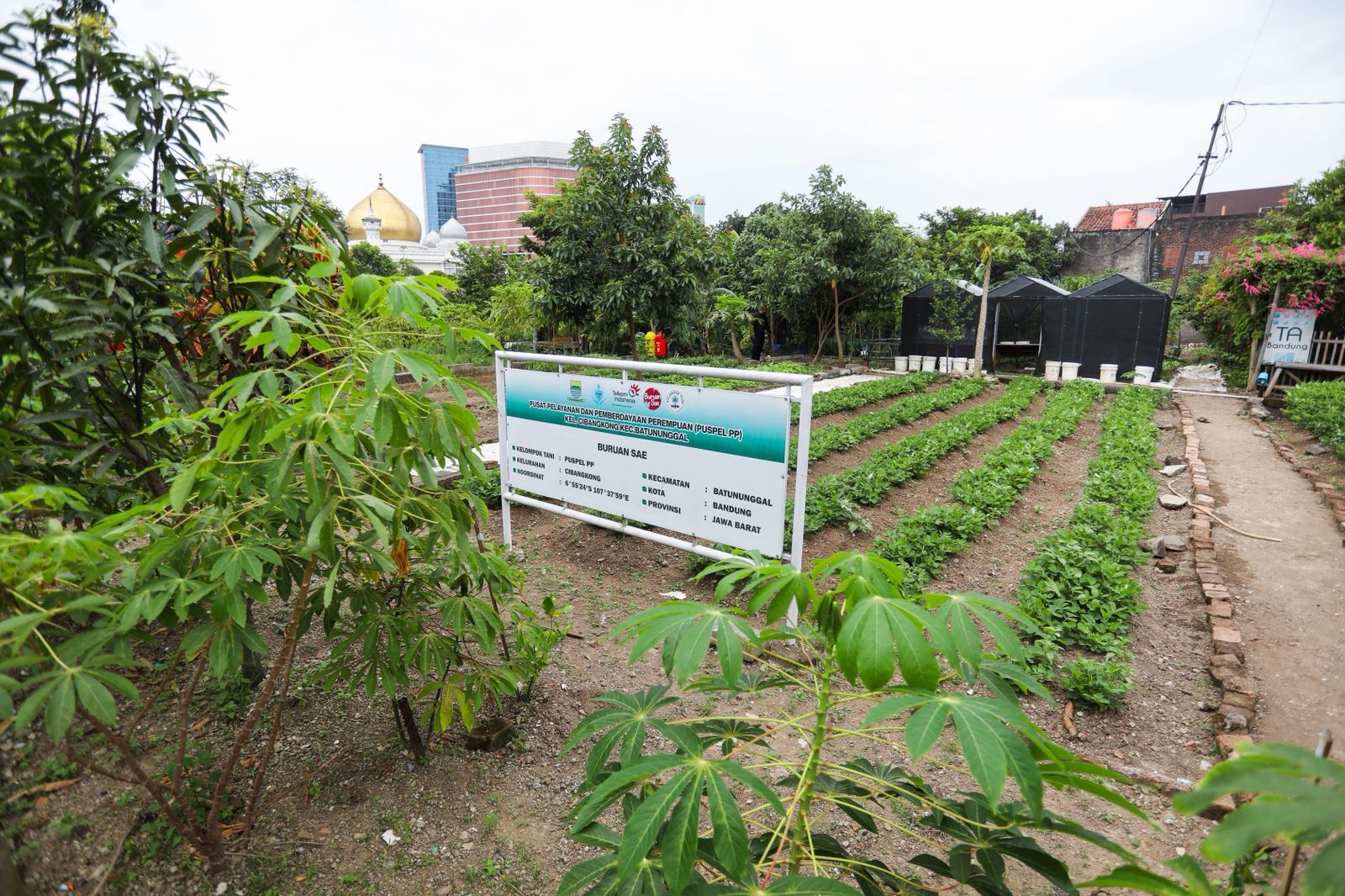 Lima SD Jadi Percontohan Program Ekosistem Pangan Sehat Kota Bandung