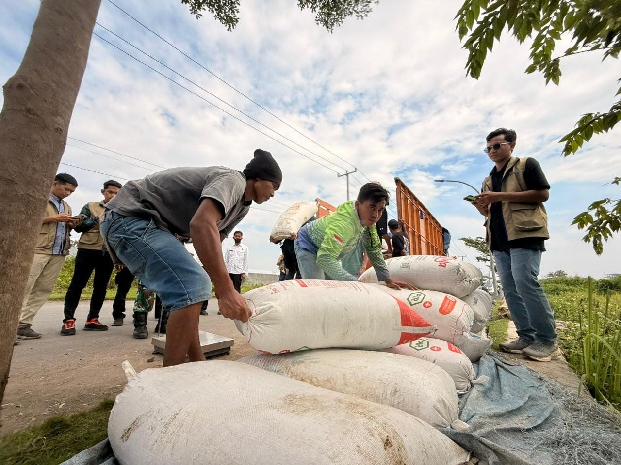 Bulog Serap Ribuan Kilogram Gabah di Cirebon, Pemda Kawal Stabilitas Pangan