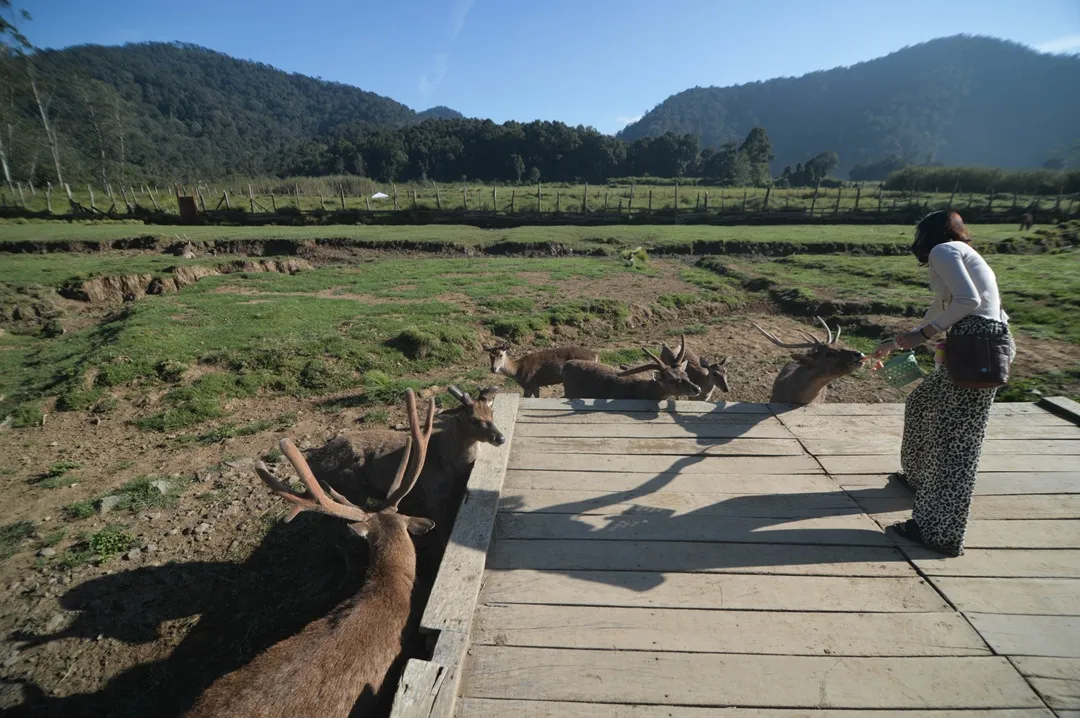 Libur Lebaran Jadi Momentum Wisata, Ini 7 Destinasi Favorit di Jawa Barat