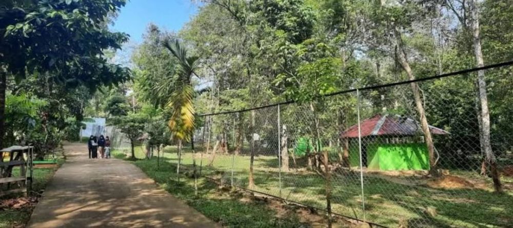 Suka Olahraga? Ini Daftar Tempat Jogging Pagi Terbaik dengan Fasilitasnya di Jambi