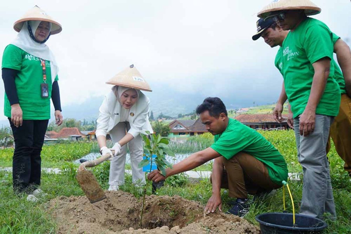 PNM Dorong Pelestarian Hutan, Target Tanam 85.000 Pohon pada 2026