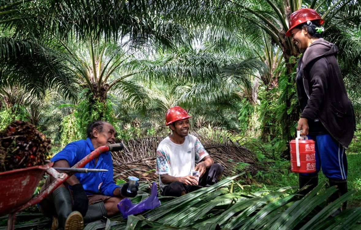 Industri Kelapa Sawit Dorong Kesetaraan Gender, Peran Perempuan Kian Strategis