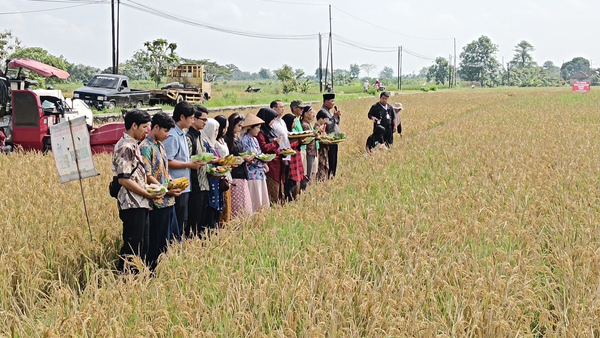 Petani Muda Klaten dan Puskestan Gelar Tradisi Wiwitan di Desa Sribit