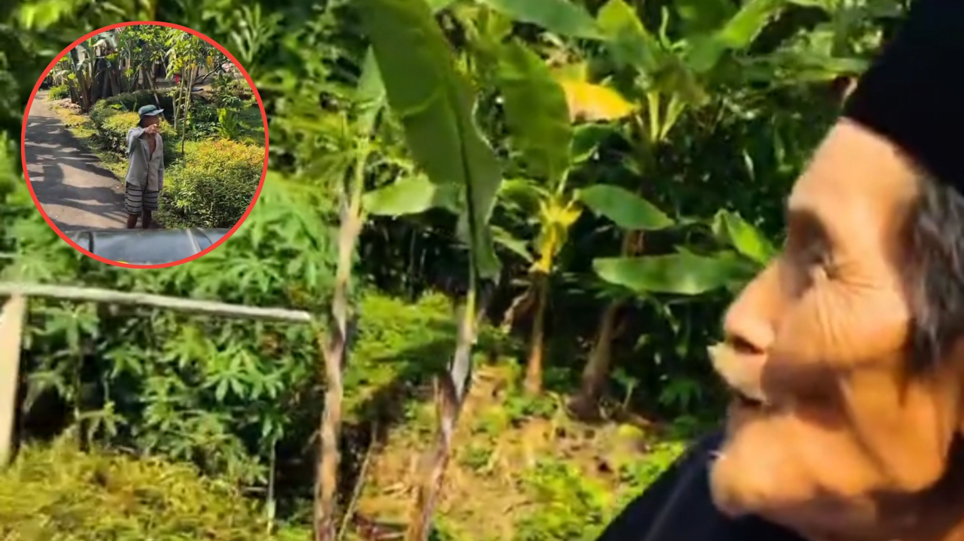 Tak Sengaja Bertemu, Bapak Ini Menangis Peluk Sahabat Lama Saat Ziarah