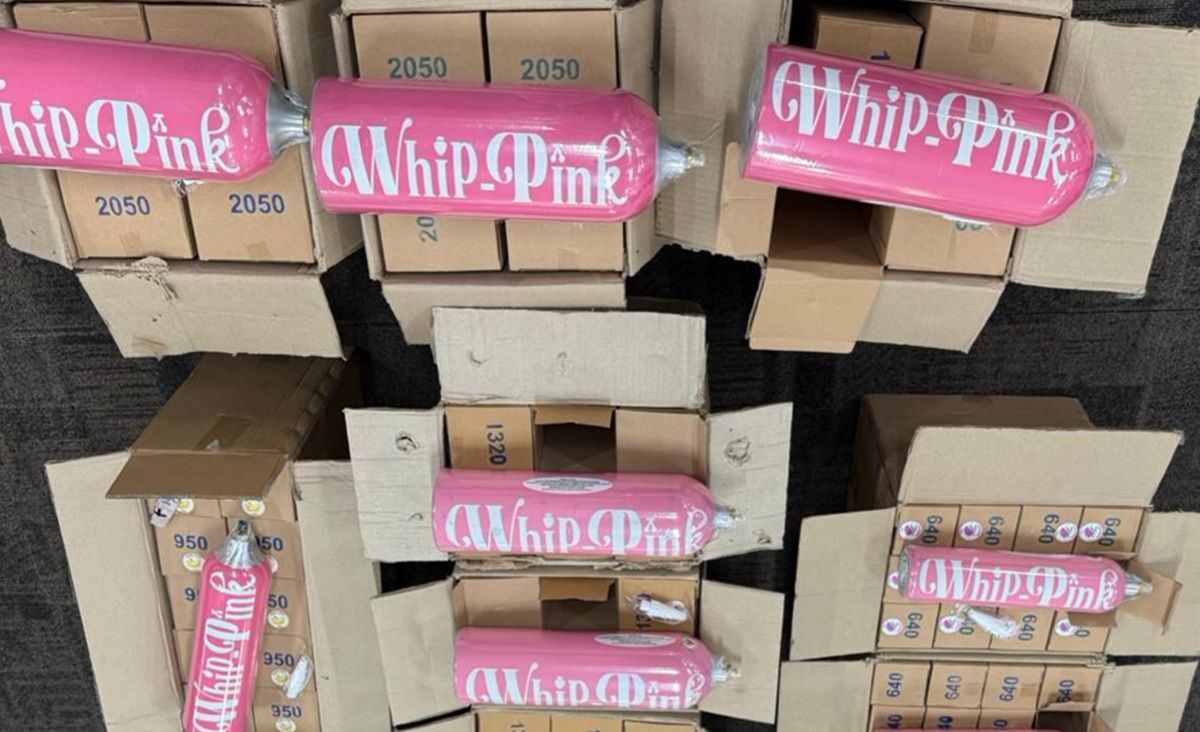 Diperiksa Bareskrim soal Viral Pakai Whip Pink, Begini Pengakuan Influencer Makassar