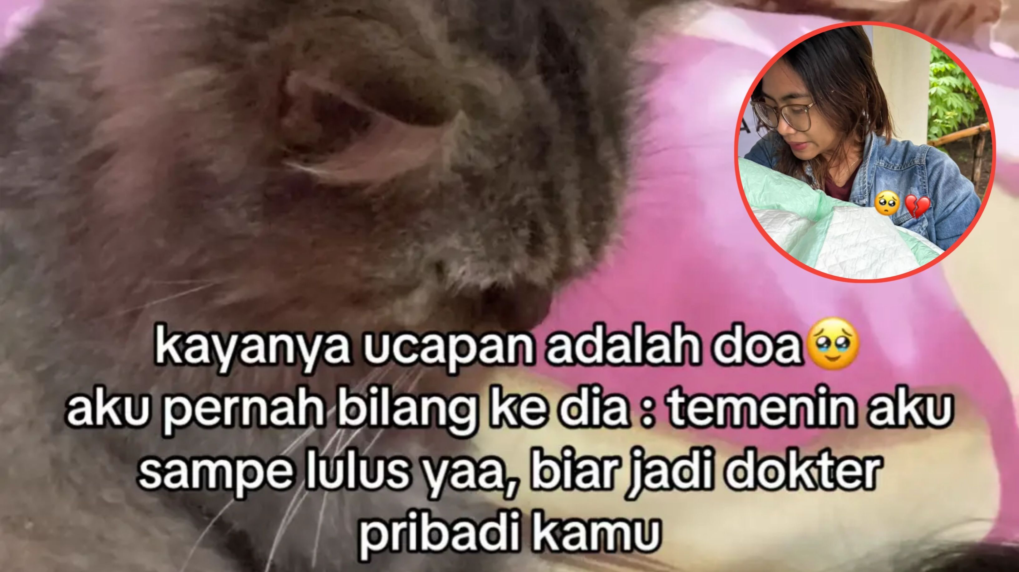 Temani Pemilik dari Kecil hingga Jadi Dokter Hewan, Kisah Kucing Ini Berakhir Pilu