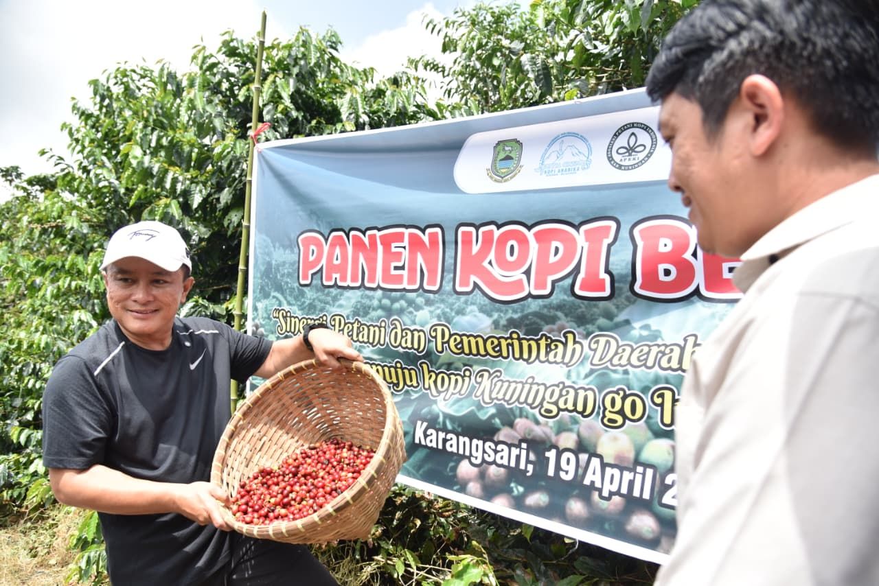 Menuju Pasar Global, Kopi Kuningan Ikut World of Coffee Asia 2026