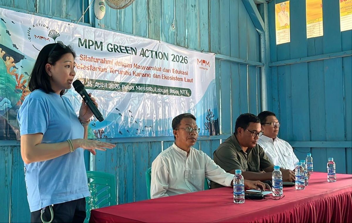Tak Cuma Pelestarian, Transplantasi Terumbu Karang di Labuan Bajo juga Dukung Sektor Pariwisata