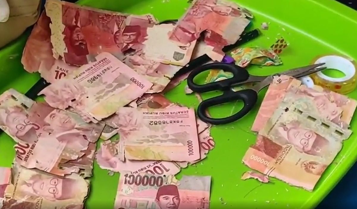 Uang Dimakan Rayap Apakah Bisa Ditukar? Ini Syarat dan Cara Tukarnya ke BI