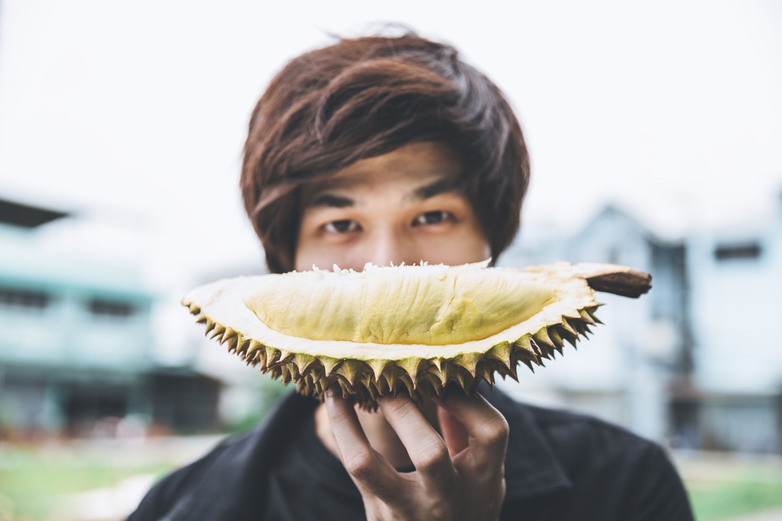 5 Daerah Penghasil Durian Terbaik di Indonesia: Surganya Pencinta si Raja Buah!