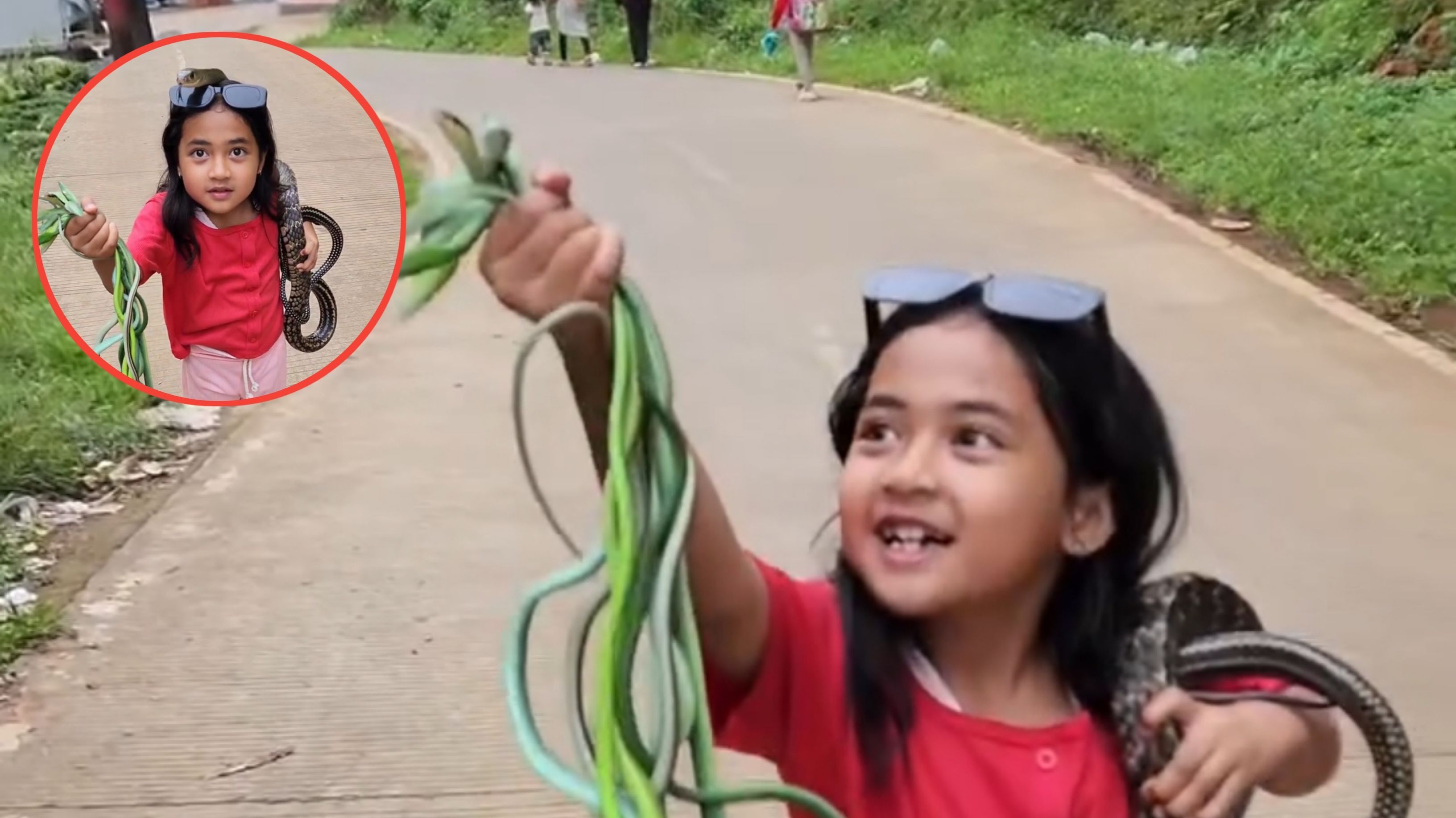 Anak Kecil Perempuan ini Bikin Heboh karena Santai Membawa Banyak Ular dari Sawah