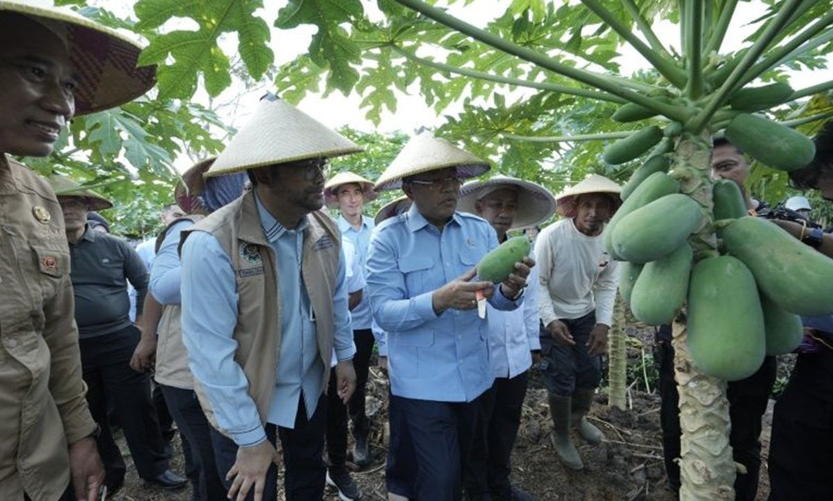 BGN Libatkan Petani dan UMKM Lokal Perkuat Pasokan Program Makan Bergizi Gratis
