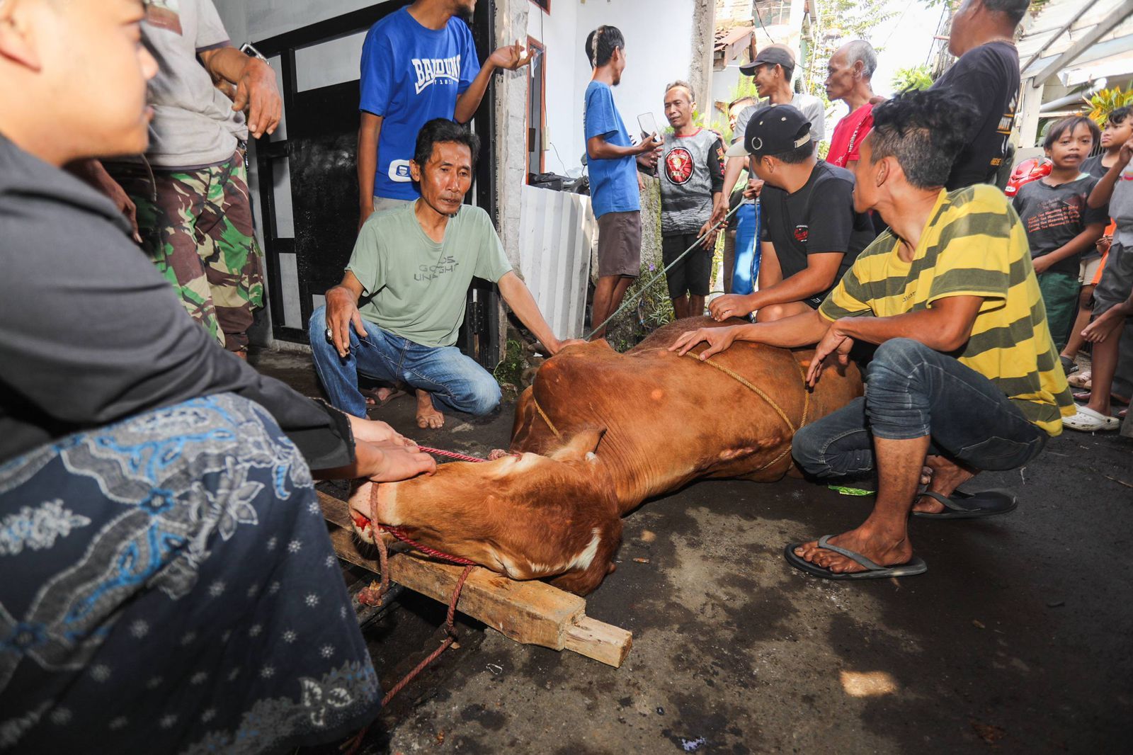 Datangi Lokasi Penyembelihan, Farhan Serahkan Bantuan Kurban kepada Warga Cicadas