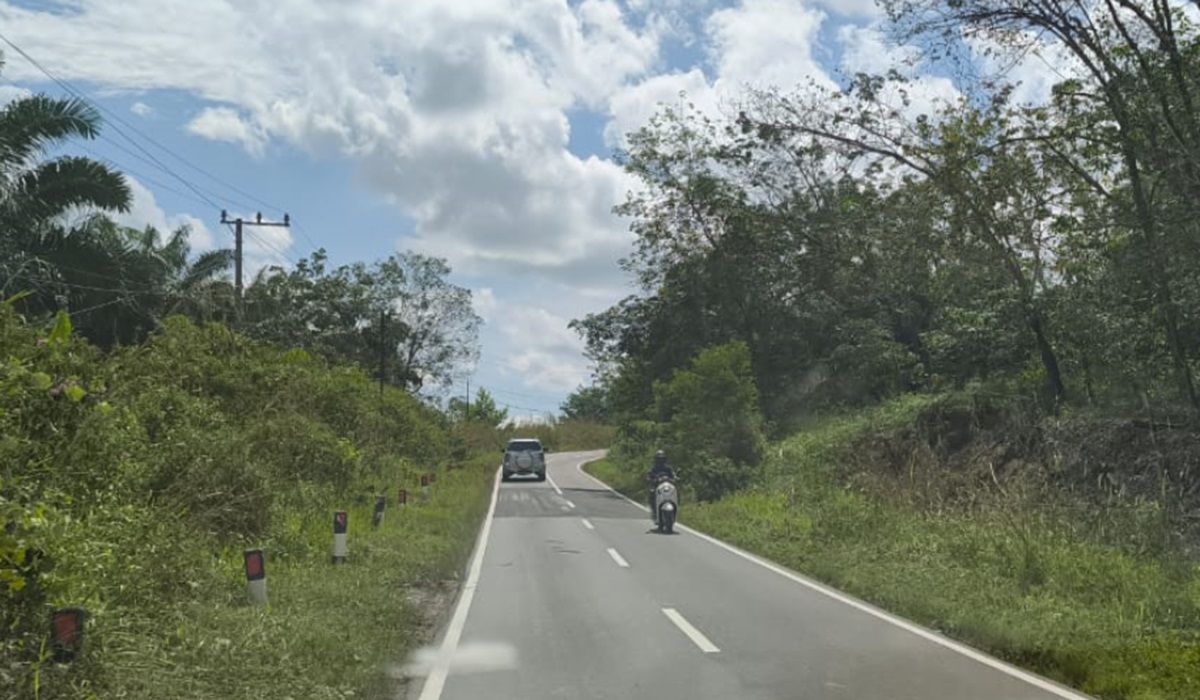 Mengungkap Misteri dan Mitos Mencekam di Balik Jalur Sepi Jalan Ness Jambi