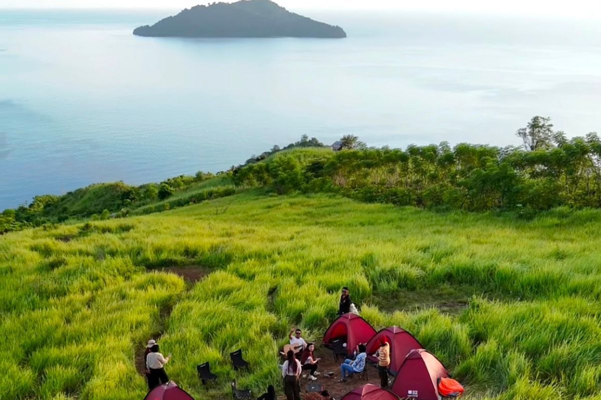 Bukit Dunu Paralayang: Menikmati Hamparan Ilalang dan Sensasi Terbang di Atas Laut Gorontalo