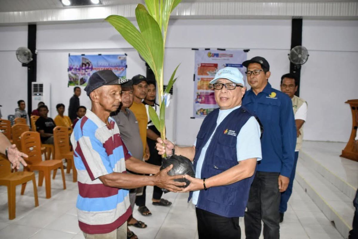 Dorong Hilirisasi Perkebunan, Pemkab Gorontalo Salurkan Ribuan Bibit Kelapa ke Warga