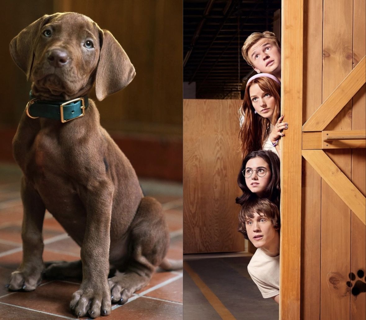 Netflix Rilis Teaser Perdana Scooby-Doo: Origins, Ungkap Awal Pertemuan Scooby dan Shaggy
