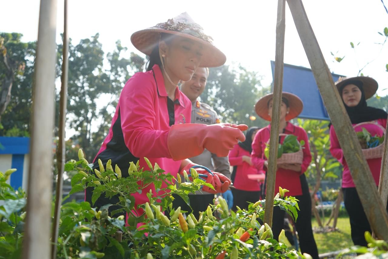 Dari Lahan Produktif ke Ketahanan Pangan, Kapolres Purwakarta Panen Sayur dan Ikan Bersama Bhayangkari