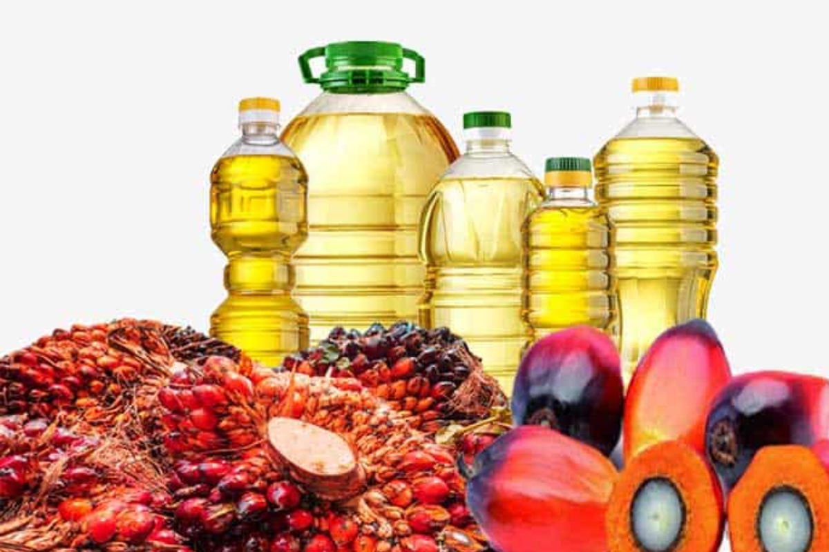 Bukan Cuma Buat Gorengan, Intip Ratusan Produk Turunan Kelapa Sawit yang Ada di Sekitarmu
