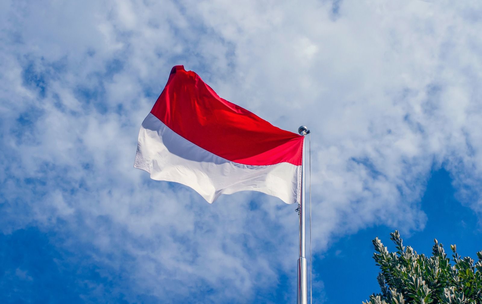 Apa Itu Kedaulatan? Memahami Kekuasaan Tertinggi dalam Sebuah Negara
