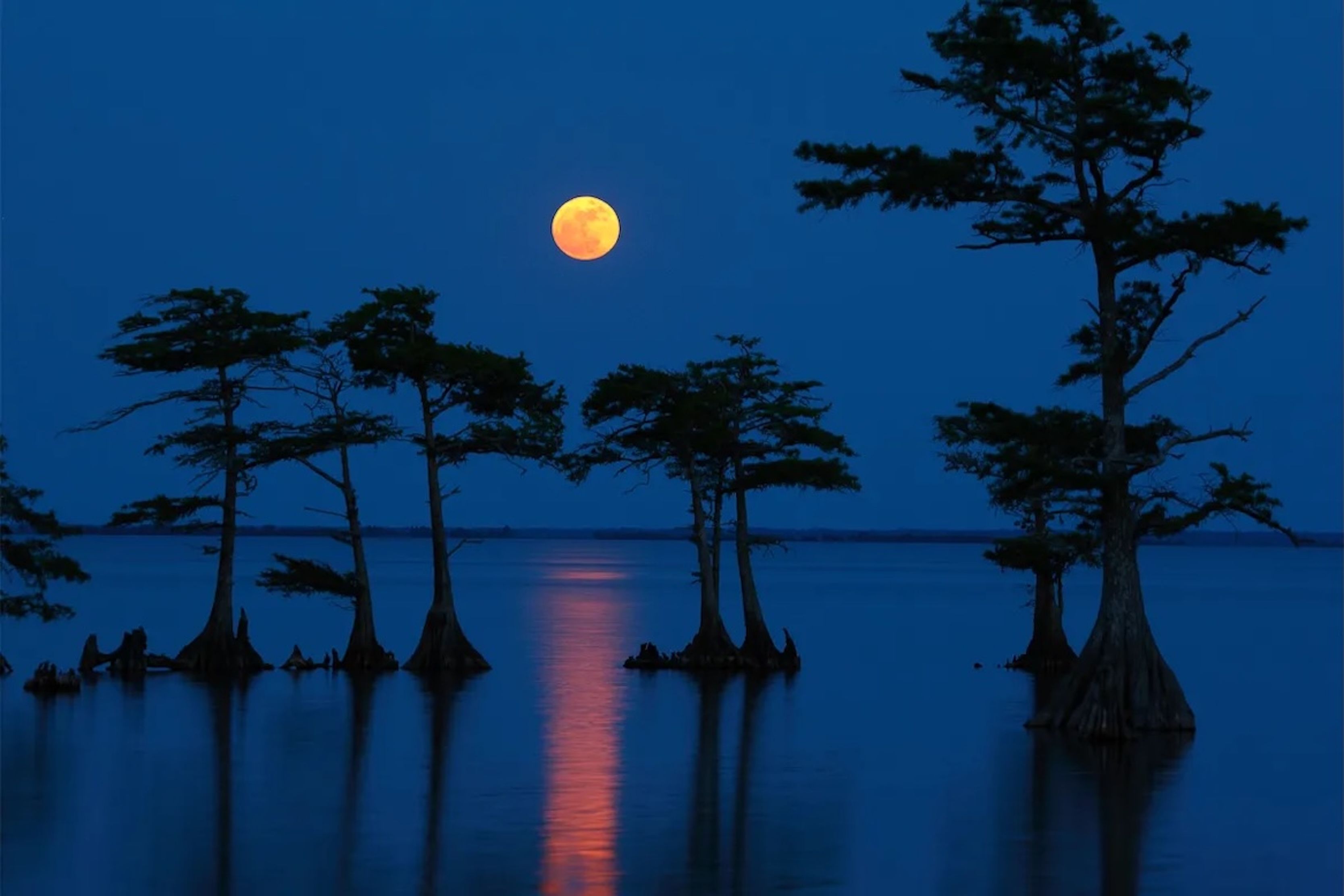 Intip Jadwal dan Cara Melihat Strawberry Moon Langka di Langit Indonesia
