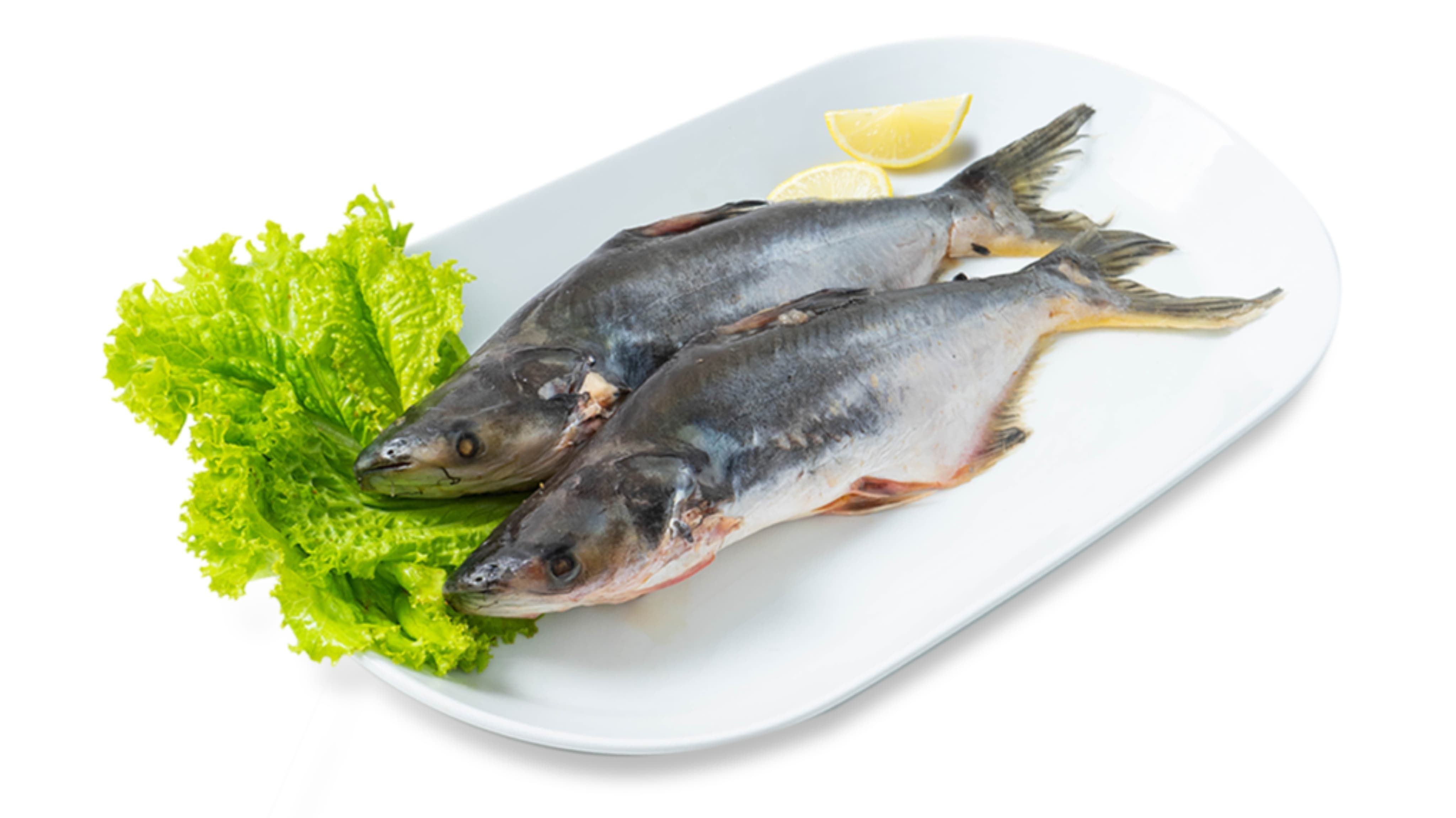 7 Manfaat Ikan Patin untuk Kesehatan Tubuh, Lezat, dan Bergizi