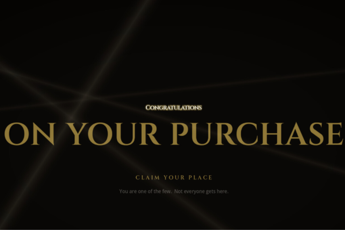 Congratulations On Your Purchase: Game Rp17 Juta yang Bikin Heboh Steam