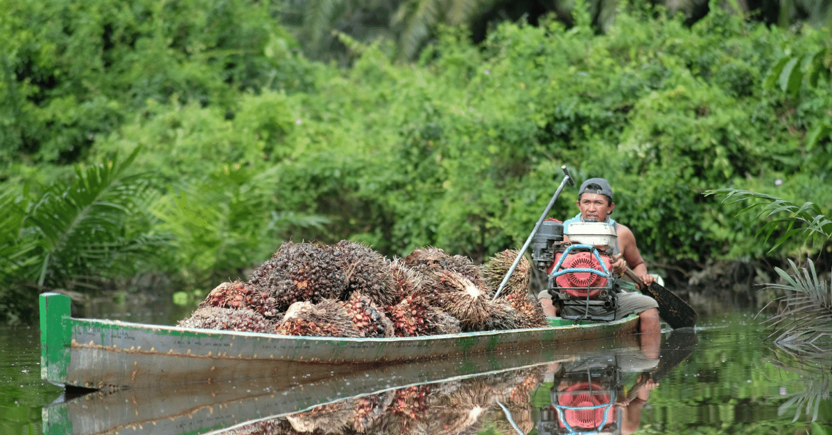 Bertani hingga Berdagang: Ini Sumber Penghasilan Utama Penduduk di Kampar