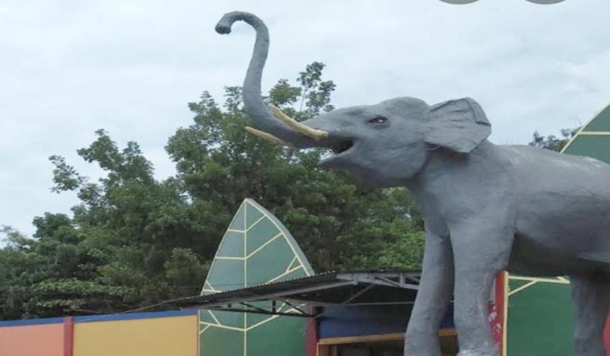 Menjelajah Seluk beluk Taman Satwa Kandi Kota Sawahlunto
