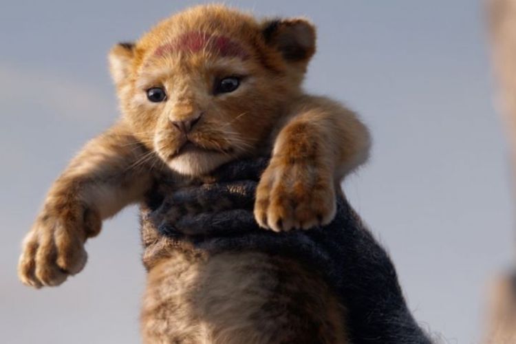 Lirik dan Arti Lagu Lion King Opening: Makna Mendalam “Nants’ Ingonyama” yang Ikonik