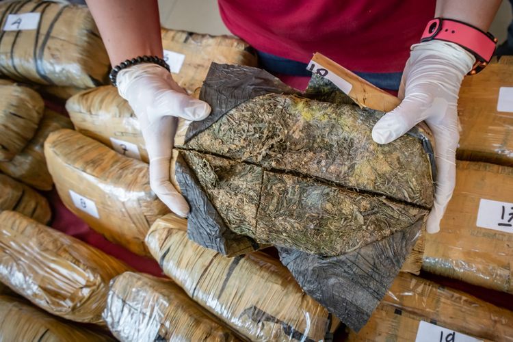 Polisi Grebek Pengedar Ganja di Tambora, 2,1 Kg Barang Bukti Disita