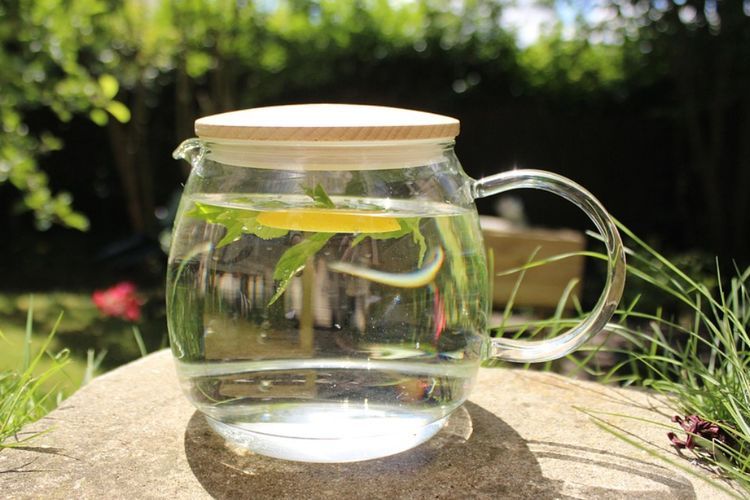 Rekomendasi 3 Resep Infused Water Untuk Minuman Sehat Sehari-hari