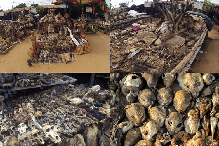 Pasar Voodoo di Benin Afrika Barat, Jual Aneka Perlengkapan Sihir 