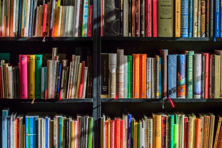 Kenapa Hari Buku Nasional Diperingati Tiap 17 Mei? Ini Sejarah dan Maknanya