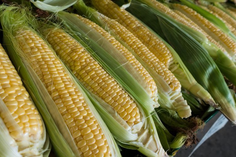 Kenali 5 Kebaikan Jagung bagi Kesehatan Tubuh