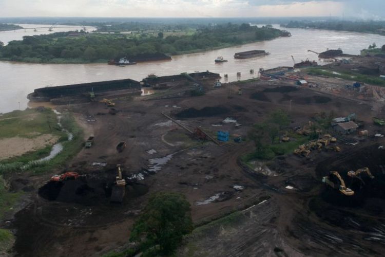 Gawat! Indonesia Puncaki Daftar Negara Kehilangan Hutan Paling Banyak Akibat Tambang