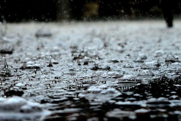 Kenapa Bau Tanah Setelah Hujan Bikin Nostalgia? Ini Penjelasan Ilmiahnya
