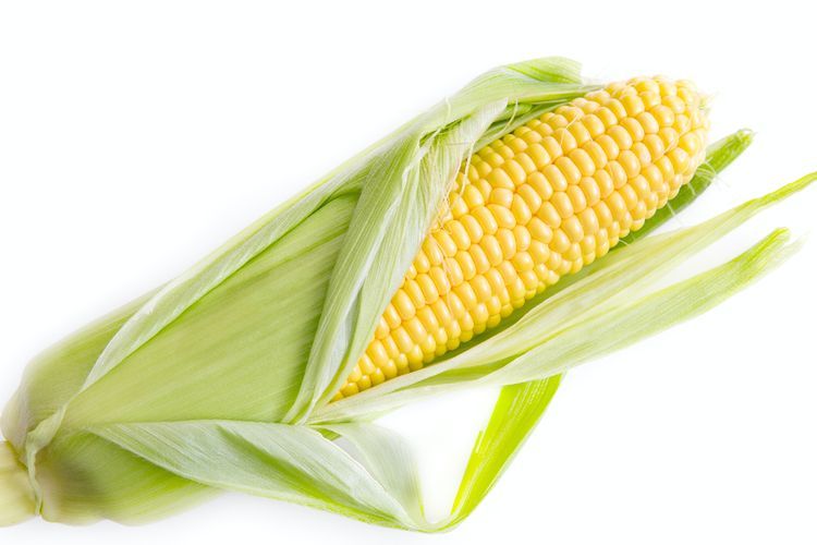 Minum Teh dari Rambut Jagung, Ini 3 Manfaat yang Akan Kamu Dapatkan