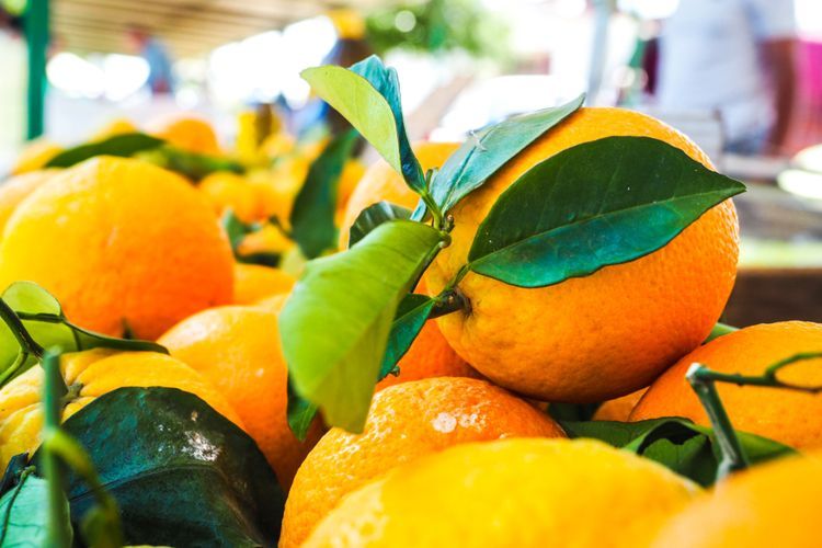 Cuaca Labil, Tubuh Jangan Ikut Drop! Ini Manfaat Perpaduan Honey Orange Buat Imunitas