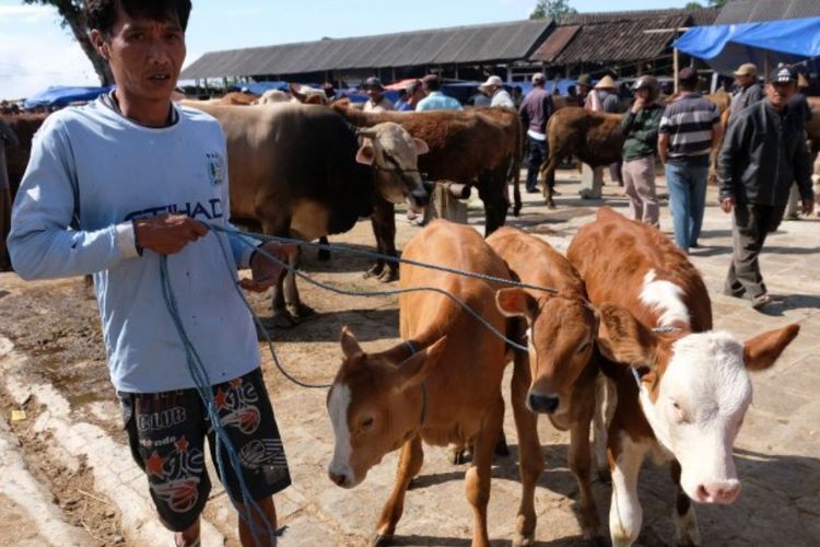 9 Hikmah Idul Adha yang Sering Dilupakan, Nomor 5 Paling Ngena!