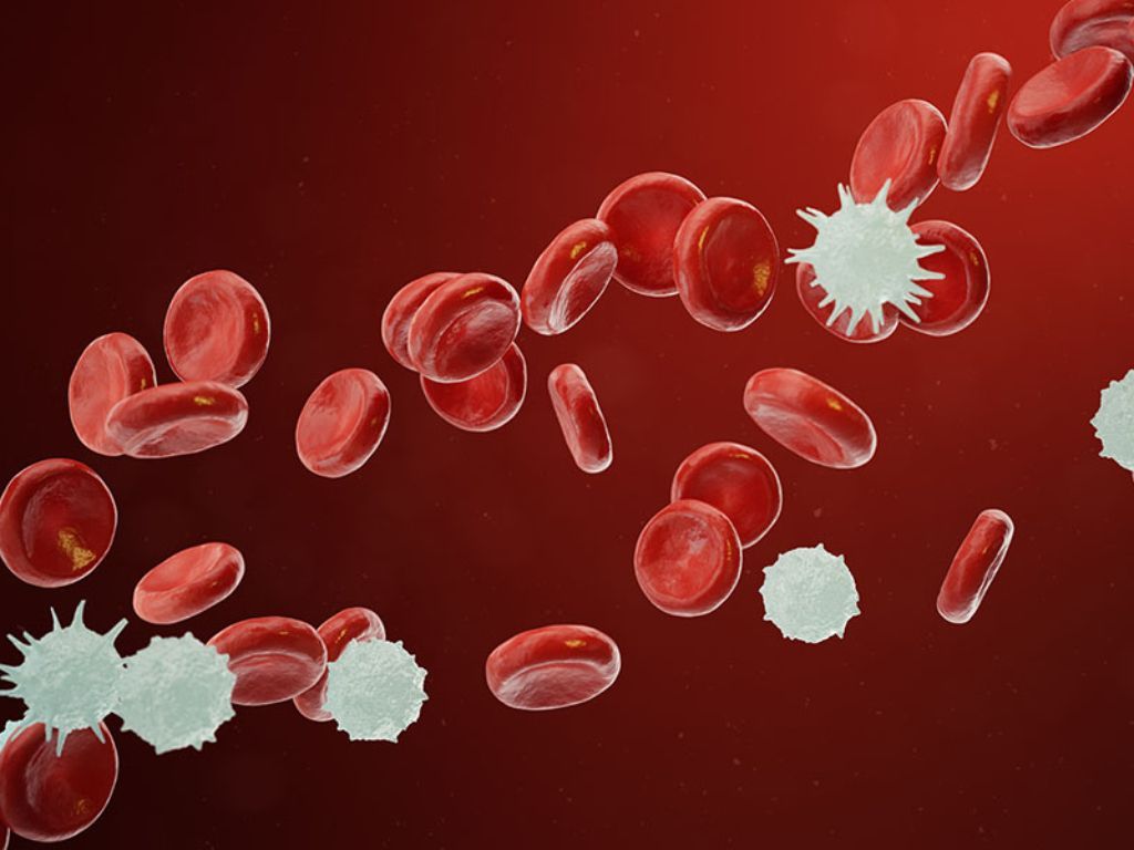 Mengenali Penyakit Multiple Myeloma, Kanker Darah yang Sering Terlupakan