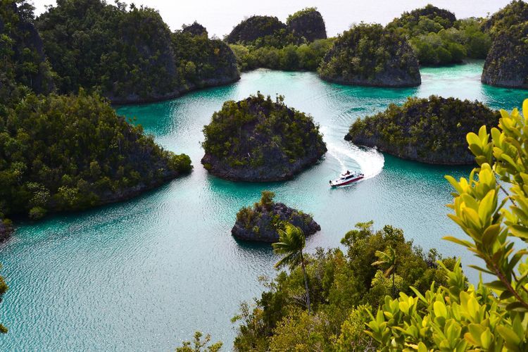 5 Tempat Wisata Indonesia yang Mendunia dan Sudah Diakui UNESCO, Apa Saja?